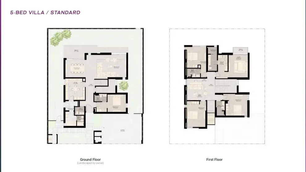 Floor plan for Type 1