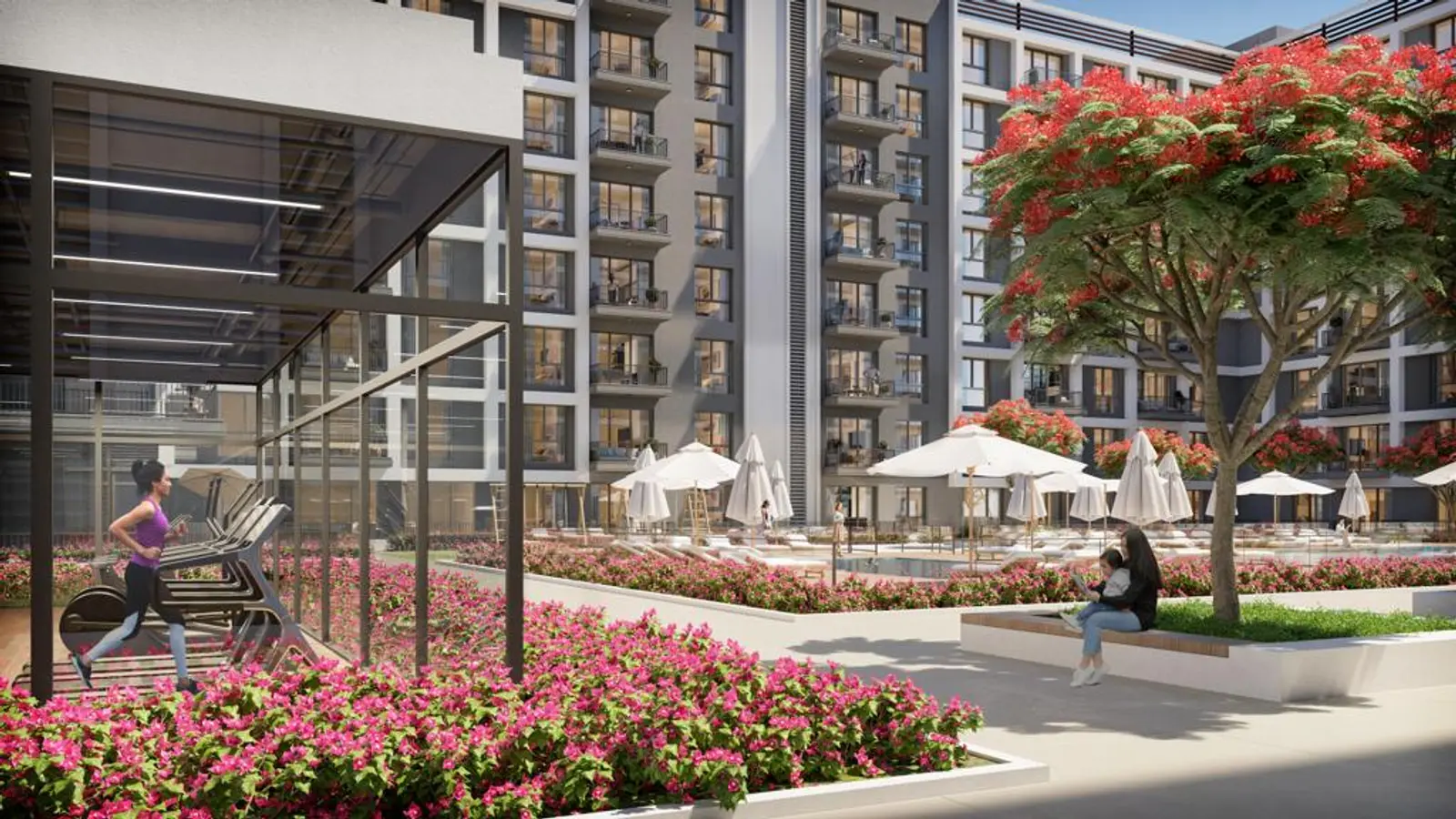 Grove on the Park cover image