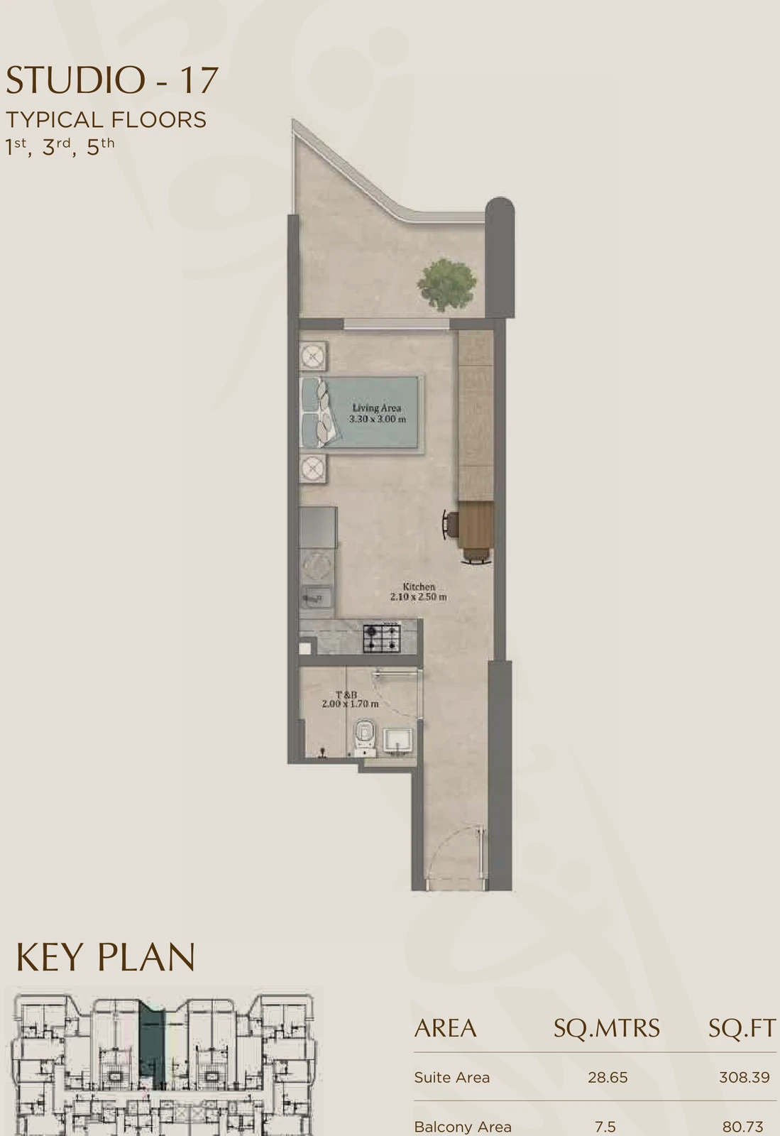 Floor plan for 17 (Floors 1, 3 & 5)