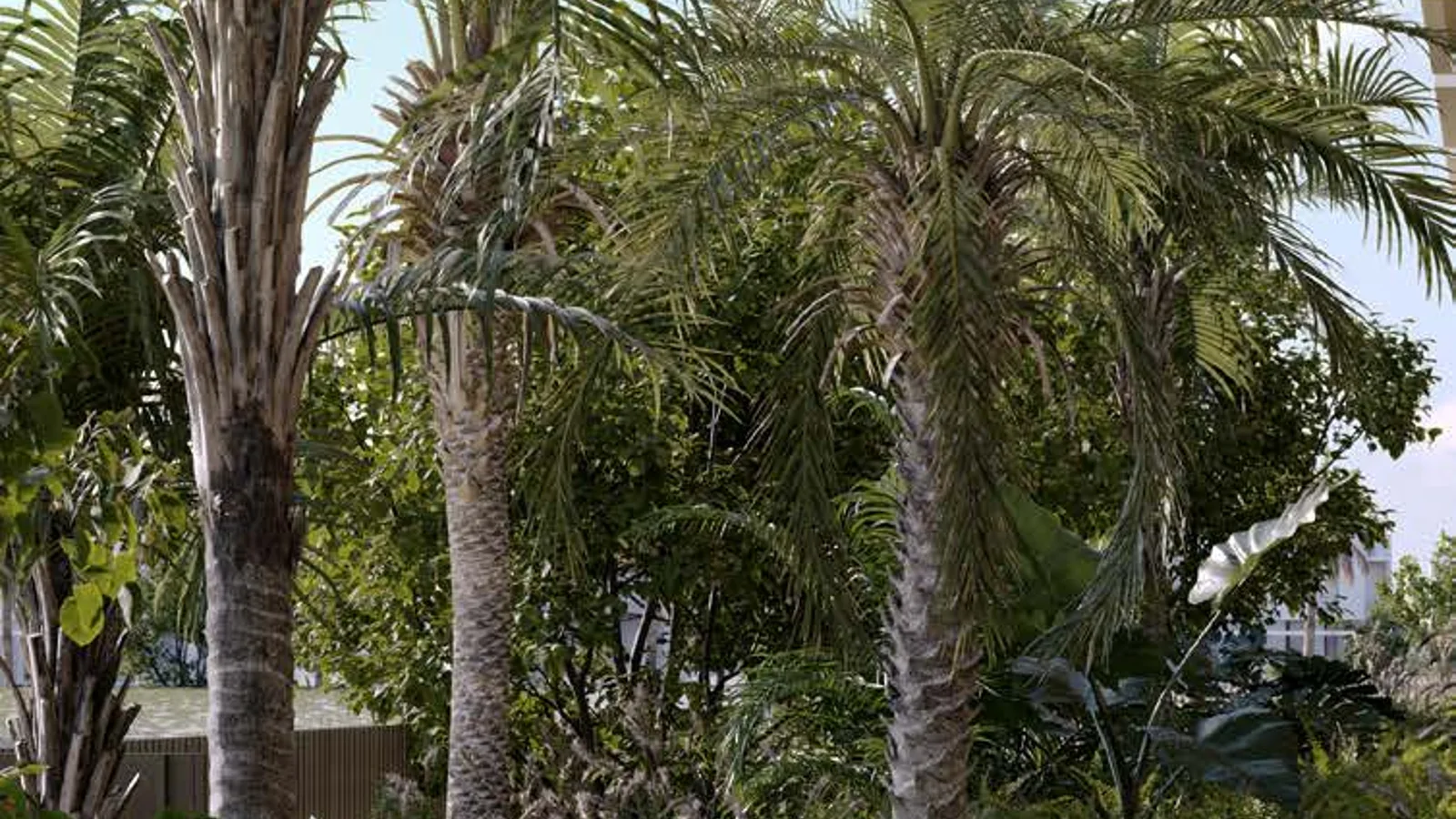 Palm-lined landscaped walking path at Tessera by Al Ghurair.